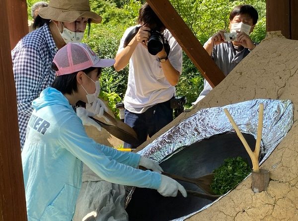 お茶を作って飲んでみよう！「親子で釜炒り茶体験イベント」