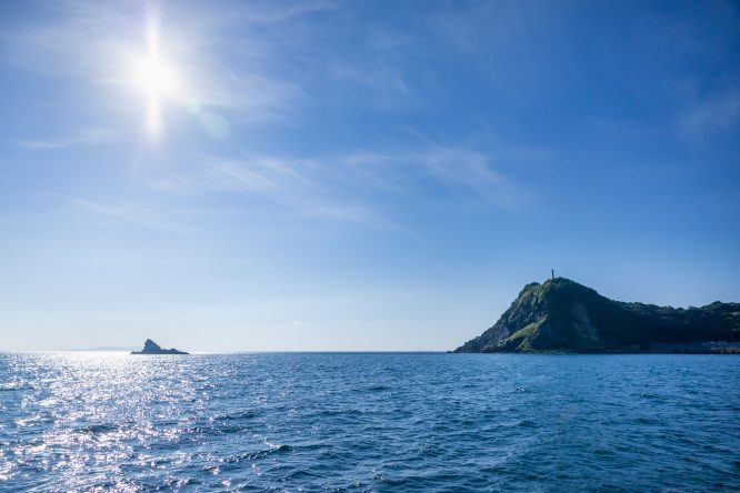 【向島】きらめく海と島の恵みを味わうカフェごはんを求めて