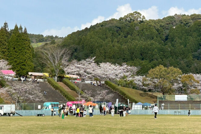 桜が満開の江北町・花山球場で「こうほくふうどフェス」が開催されました🌸🌸🌸
