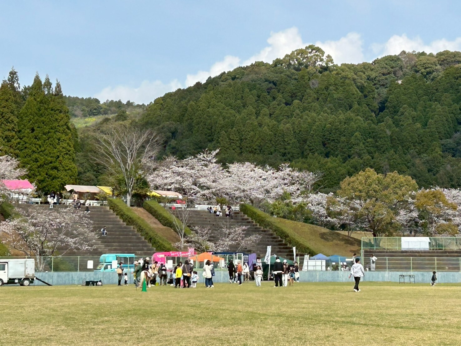 桜が満開の江北町・花山球場で「こうほくふうどフェス」が開催されました🌸🌸🌸