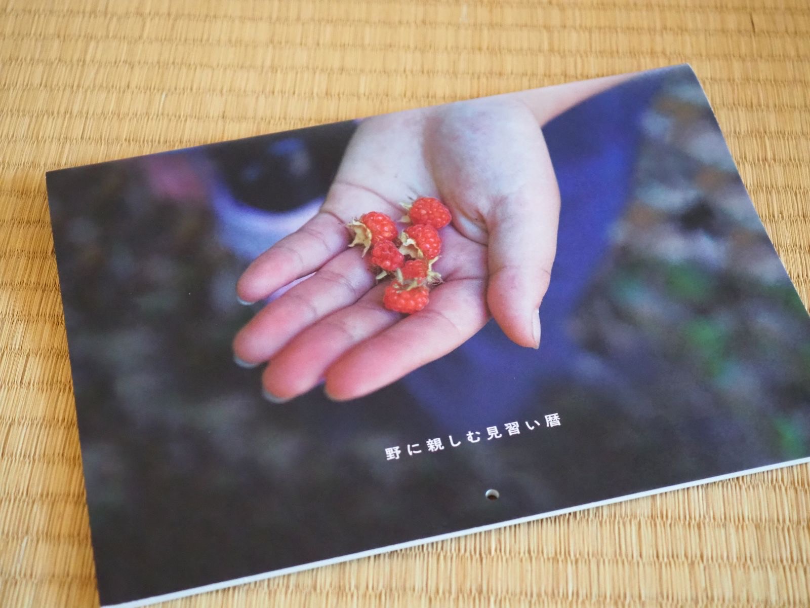 日高さんが制作した冊子