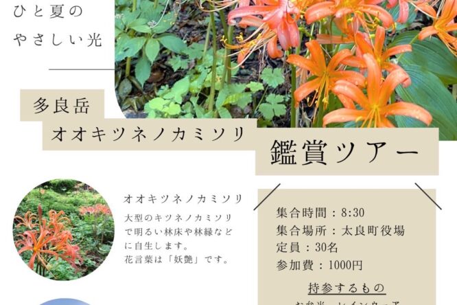 イベント情報をアップしました
