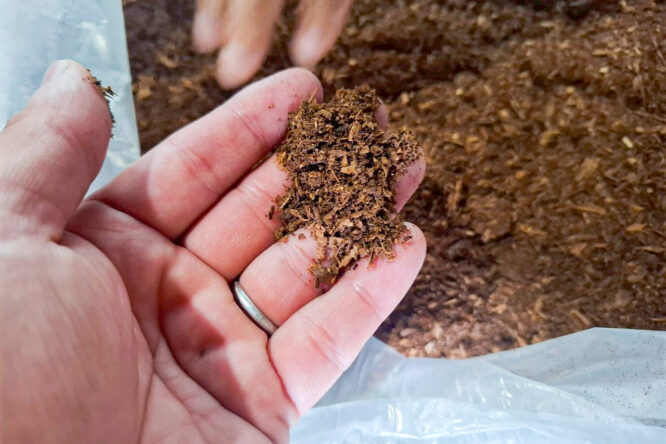 　「また、暮らしに竹を」基山町「かいろう基山」活動レポート