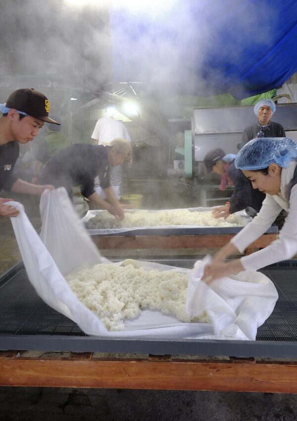 【鹿島🍶酒蔵】 造りに携わった日本酒が自宅に届くスペシャルな体験