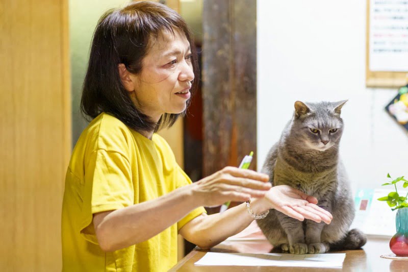 取材風景と猫
