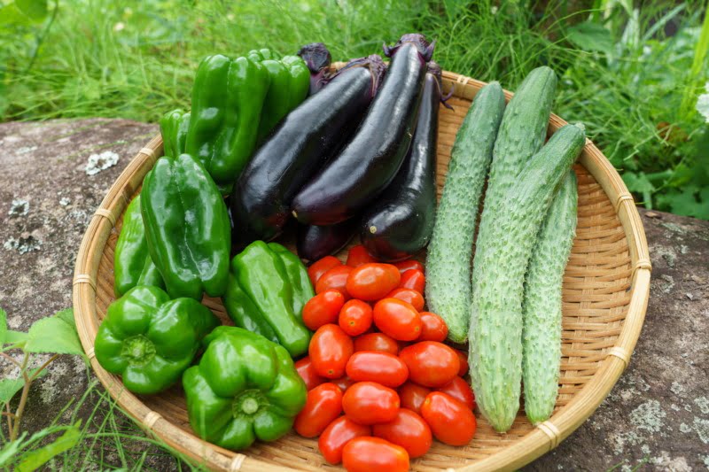 恵良農園の野菜