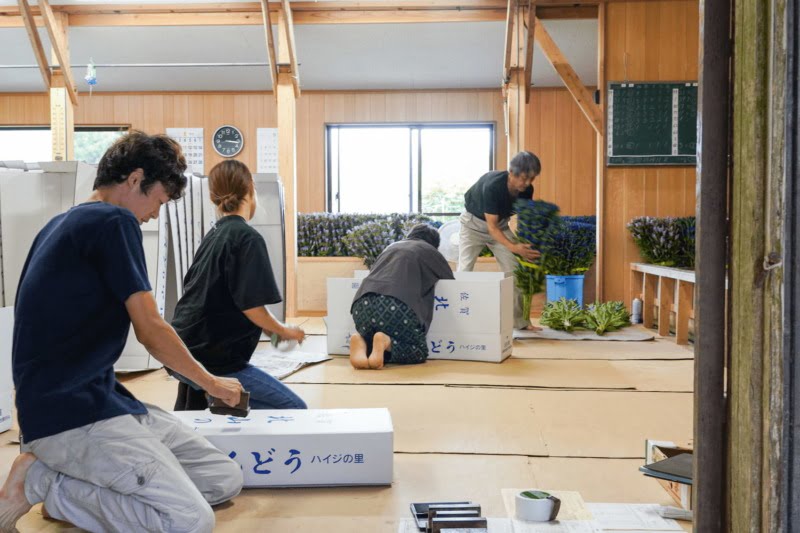 箱詰めの作業