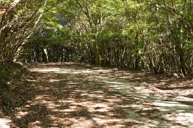 椎原峠西