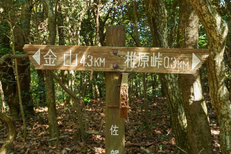 木の看板