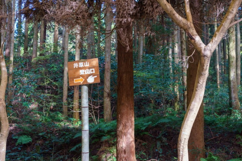 井原山登山口