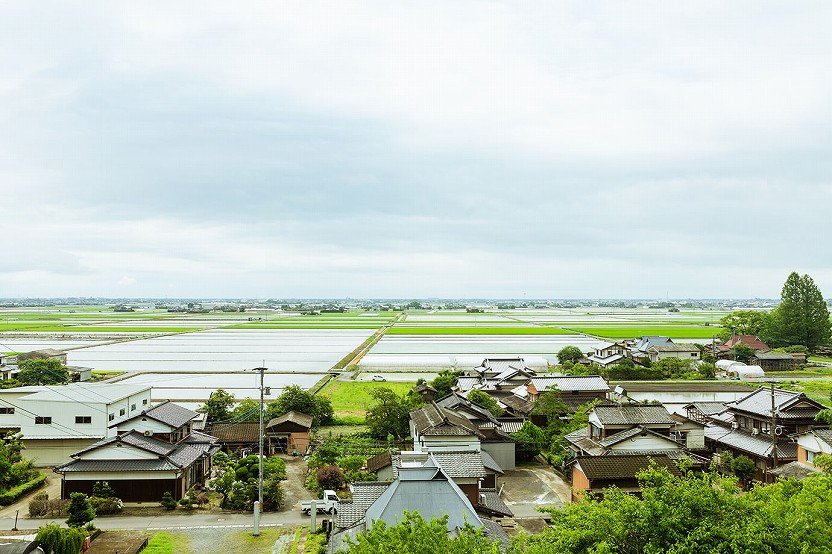 風景の写真