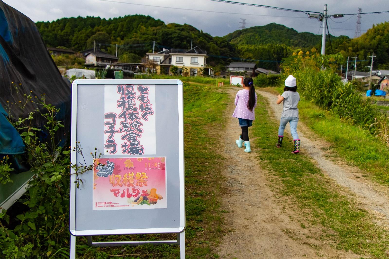 お試し地域づくり活動③